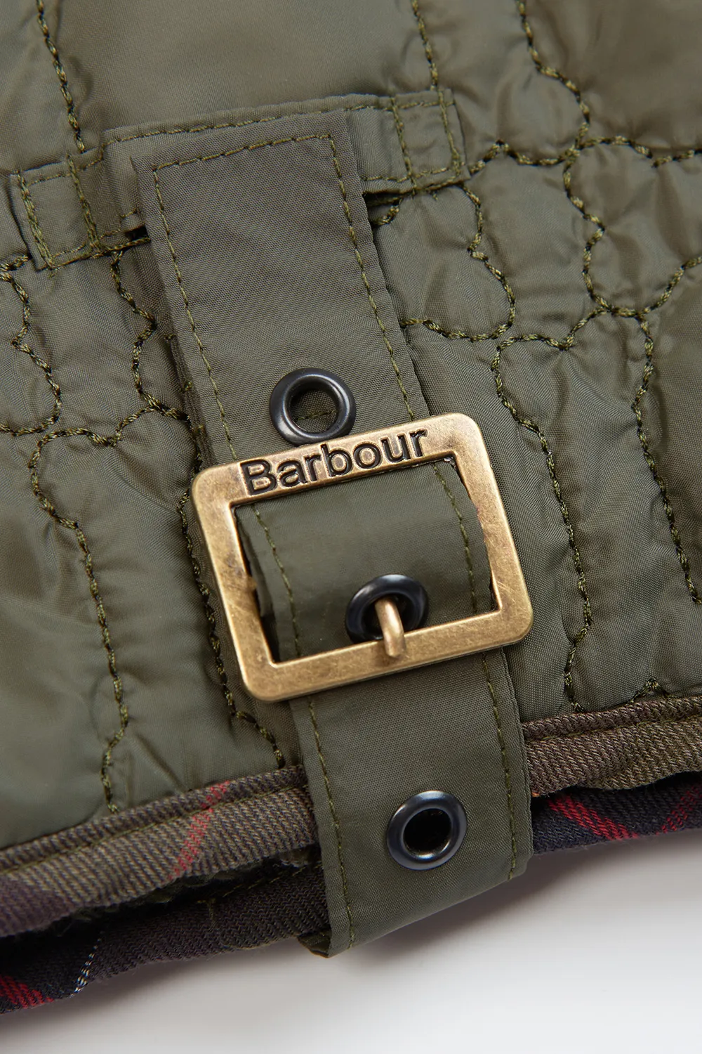 Barbour Abrigo Bone Quilted Dog