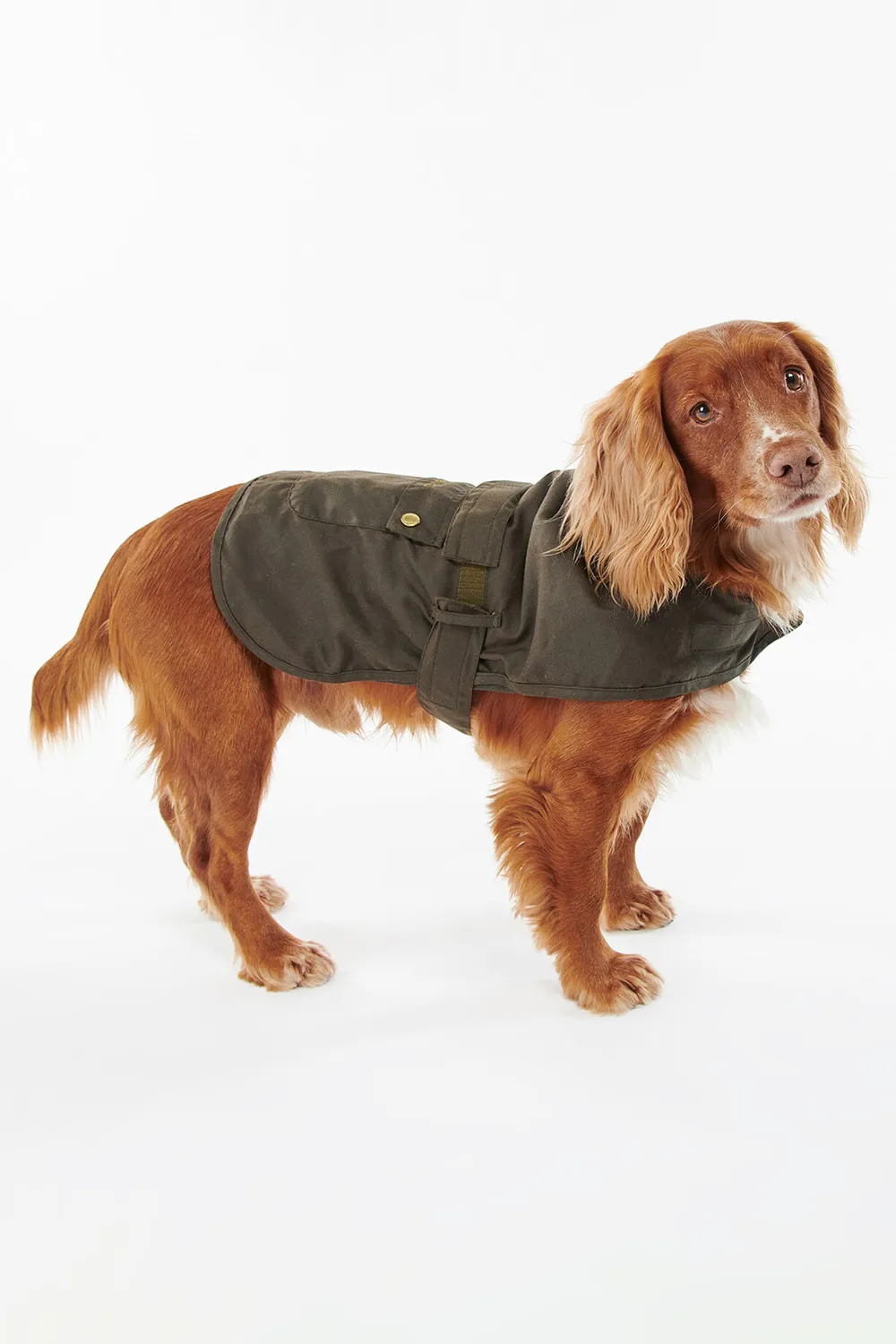 Barbour Abrigo Perro 2 en 1 Wax