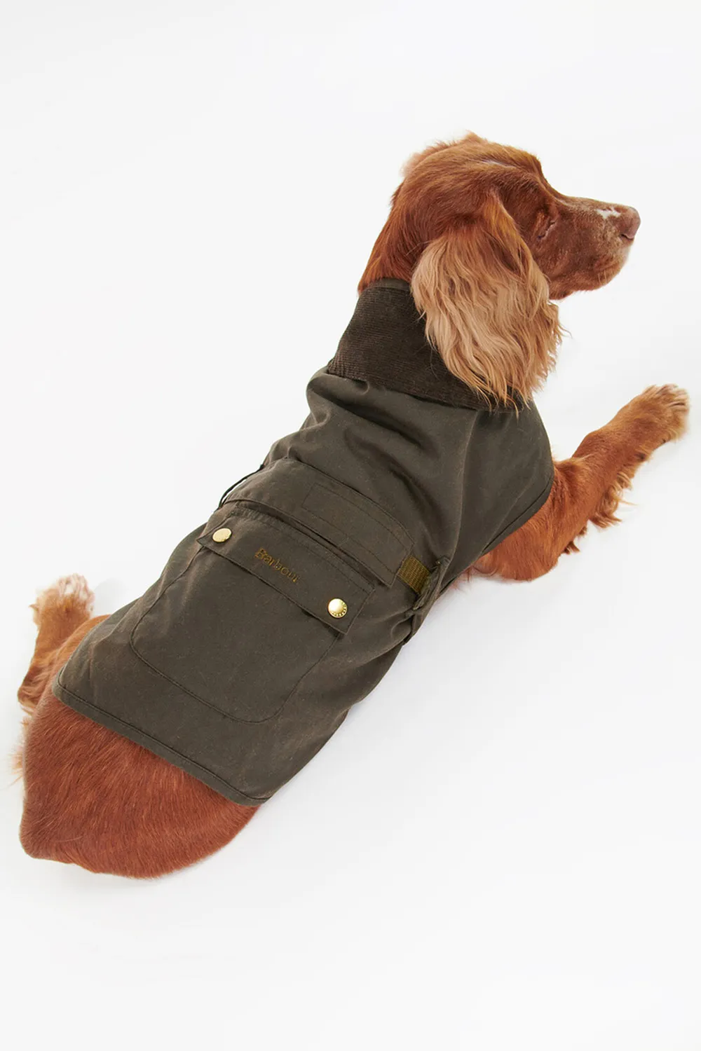 Barbour Abrigo Perro 2 en 1 Wax
