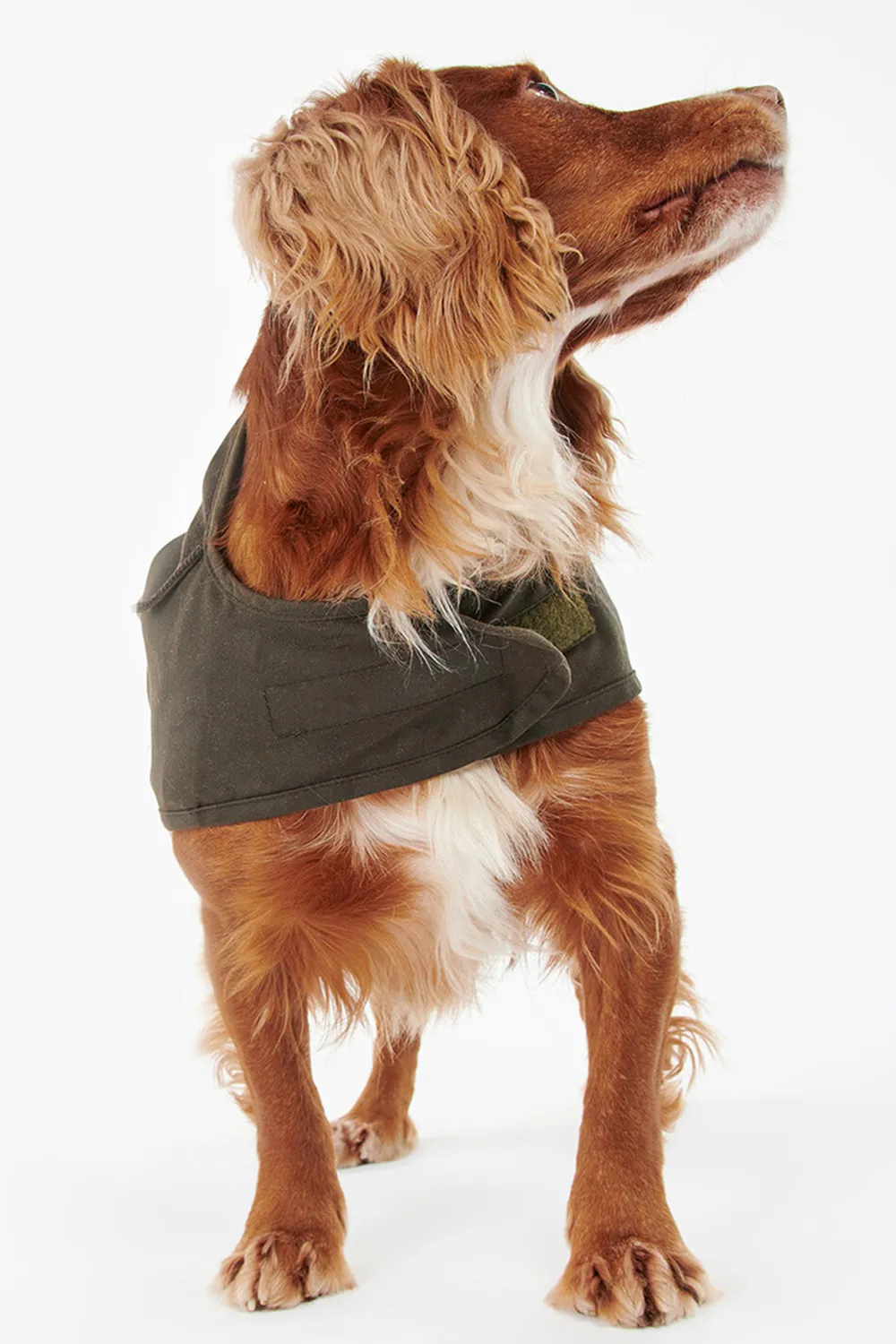 Barbour Abrigo Perro 2 en 1 Wax