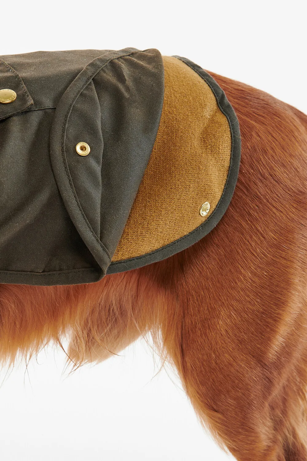 Barbour Abrigo Perro 2 en 1 Wax