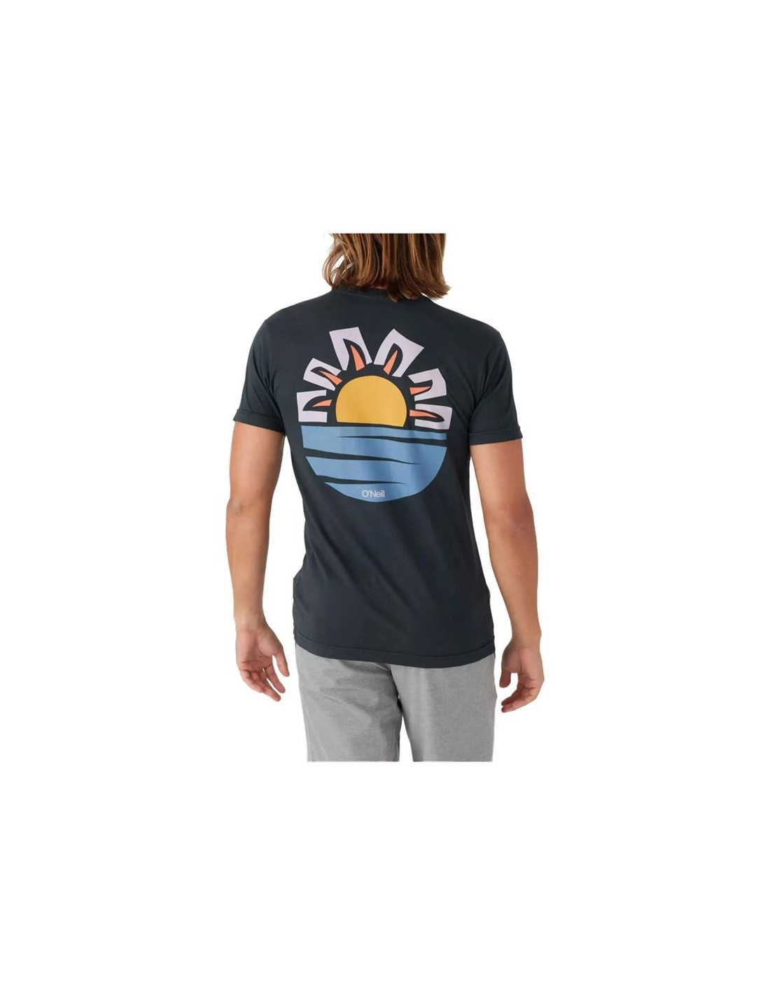 Camiseta O'Neill O'riginals Sun Gris Hombre