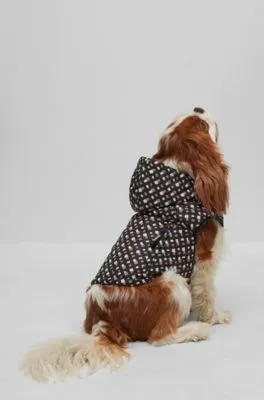 Chaqueta acolchada repelente al agua para perros