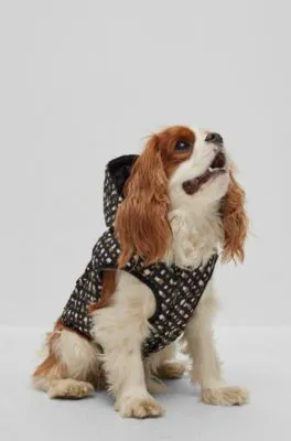 Chaqueta acolchada repelente al agua para perros