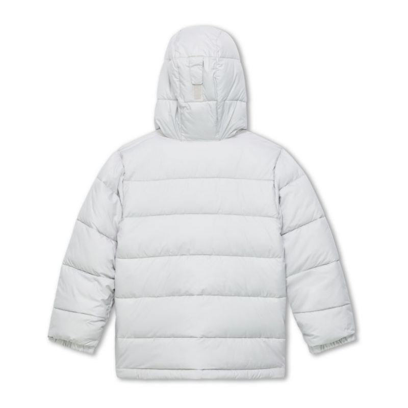 Chaqueta de plumas Columbia Y Pike Lake (gris plateado) niño