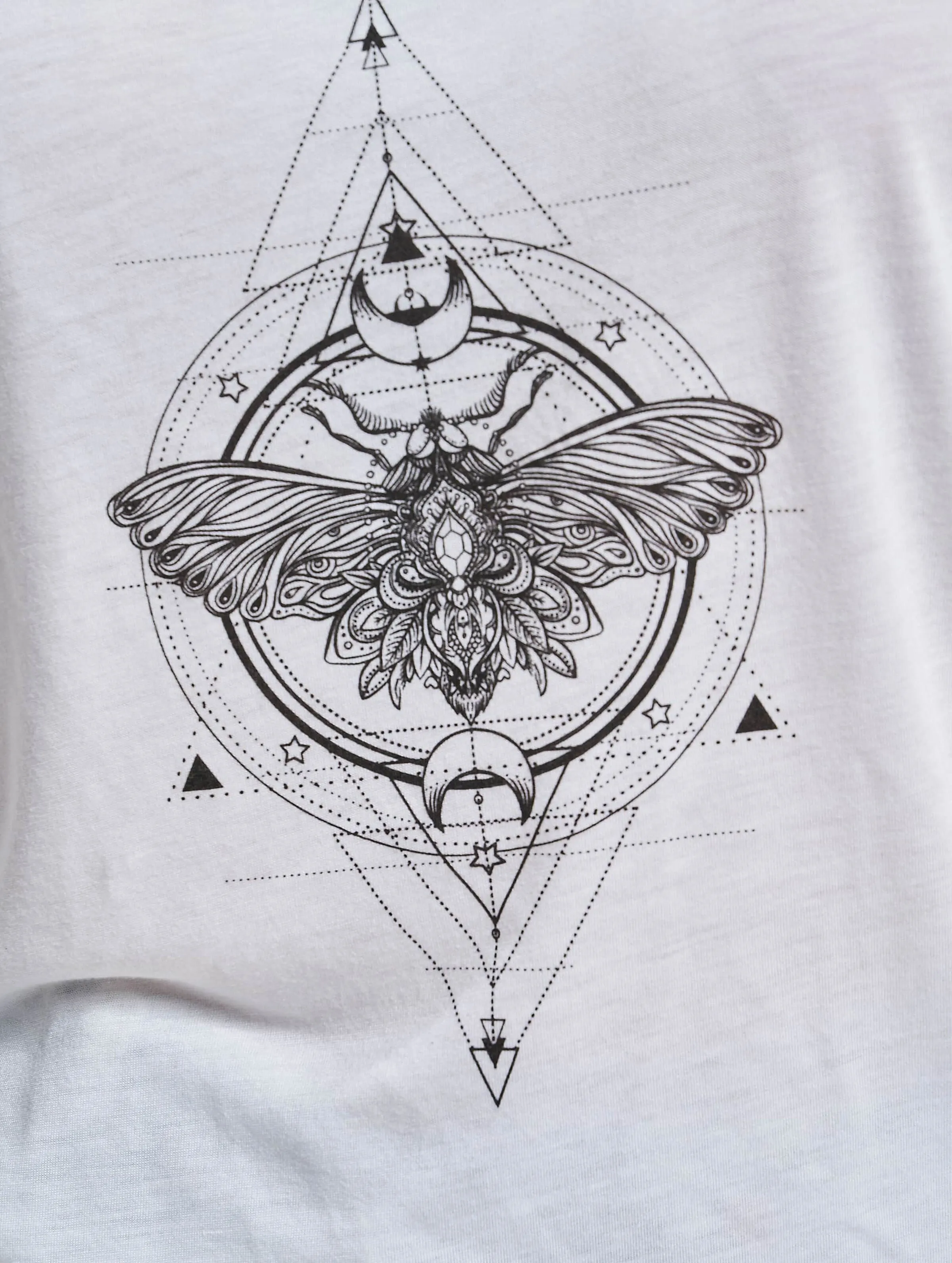  Ladies Moth 
