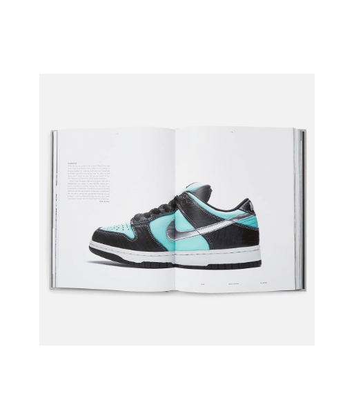 Libro Rizzoli Nike SB: The Dunk Book Ingles